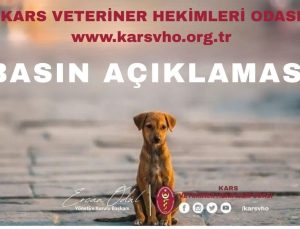 Kars Veteriner Hekimleri Odası; "Hayvanlara yönelik her türlü kötü muamele suçtur"