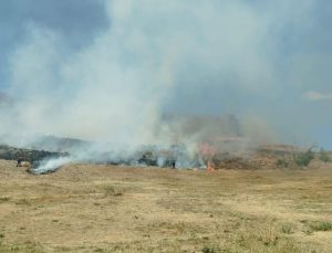 Kars Kalesi Eteklerinde Çıkan Anız Yangını Korkuya Neden Oldu