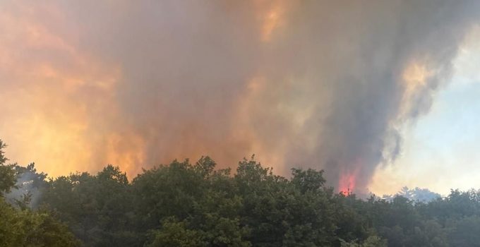Sinop Durağan’daki orman yangını kontrol altına alındı