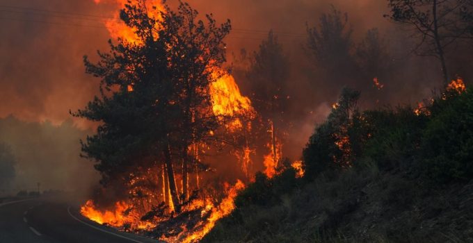 Seferihisar’da orman yangını: Müdahale havadan ve karadan sürüyor