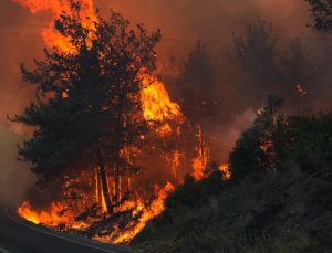 Çanakkale'de yangın büyüyor: Ev ve araçlar zarar gördü