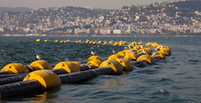 Çamur gidiyor, yeni canlılar geliyor