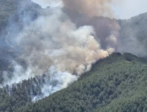 Bolu'da orman yangınına havadan ve karadan müdahale