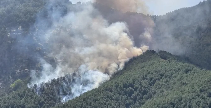 Bolu'da orman yangınına havadan ve karadan müdahale