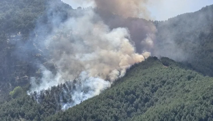 Bolu'da orman yangınına havadan ve karadan müdahale